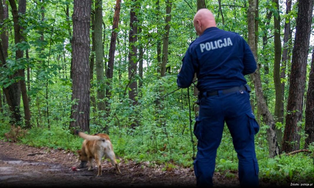 Obchody Narodowego Święta Niepodległości w Starachowicach