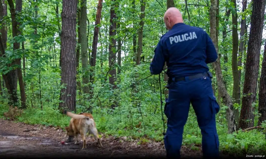 Utrudnienia w ruchu drogowym podczas meczu piłkarskiego w Starachowicach