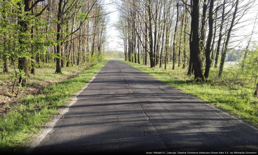 Czyste Starachowice: Nasza wspólna rola w dbaniu o estetykę naszego Miasta